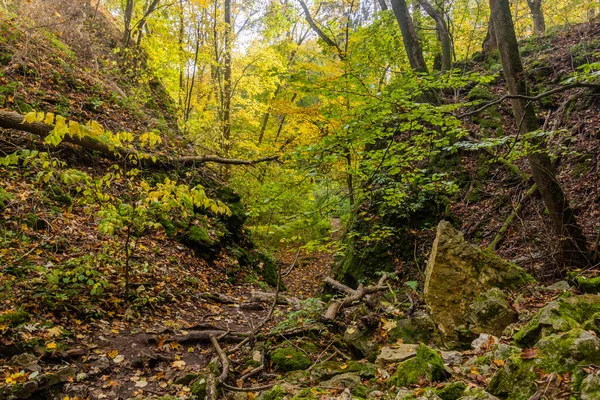 Paesaggio Cesky Kras Area Naturale Protetta Repubblica Ceca — Foto Stock