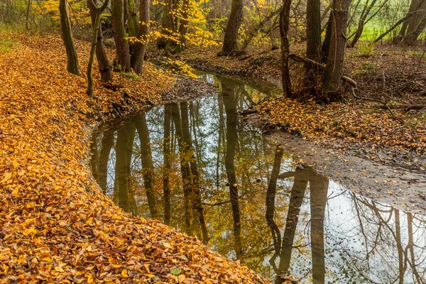 Autumn View Kunraticky Potok Stream Prague Czech Republic — Stock Photo, Image