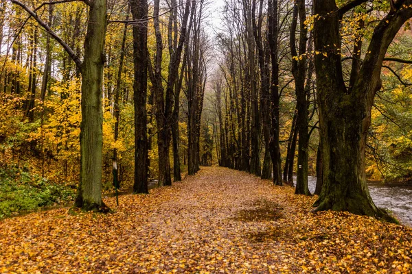 Открытый Вид Тропу Деревне Потштейн Чешская Республика — стоковое фото
