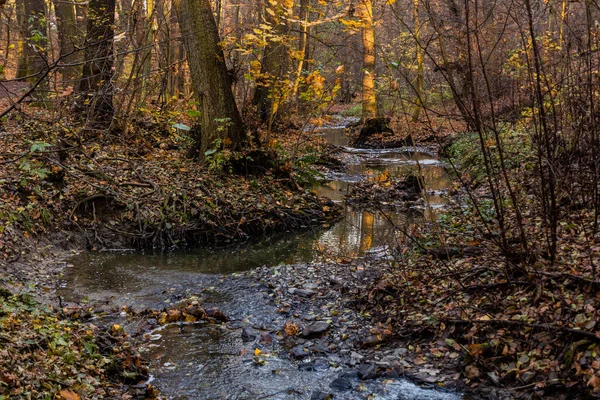 Vista Otoño Del Arroyo Kunraticky Potok Praga República Checa —  Fotos de Stock