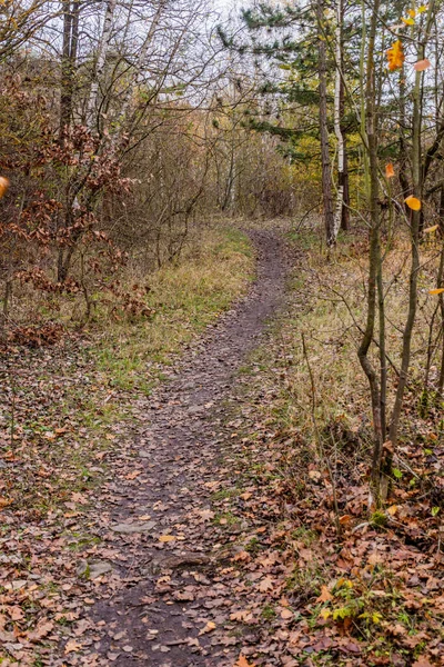 Camino Valle Prokopske Udoli Praga República Checa —  Fotos de Stock