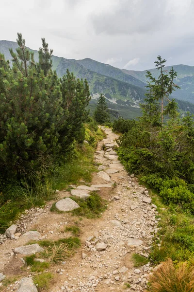 ニジケ タトリー山脈 スロバキアのハイキングコース — ストック写真