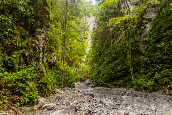 Huciaky Vallée Dans Les Montagnes Nizke Tatry Slovaquie — Photo