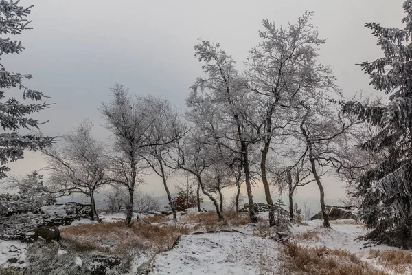 Vista Invernale Paesaggio Roccioso Sul Monte Decinsky Sneznik Nella Repubblica — Foto Stock