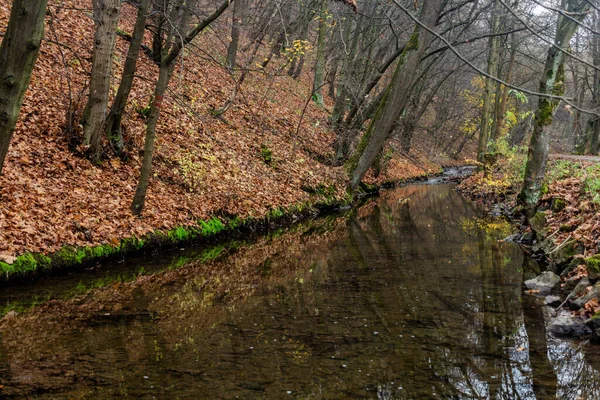 Autunno Vista Del Torrente Dalejsky Potok Praga Repubblica Ceca — Foto Stock