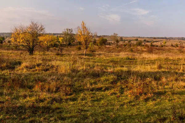 Paisagem Reserva Natural Milovice República Checa — Fotografia de Stock