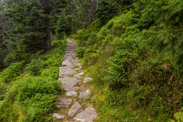 Trilha Para Caminhadas Nas Montanhas Nizke Tatry Eslováquia — Fotografia de Stock