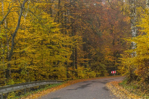 Осенний Вид Дорогу Чехии — стоковое фото