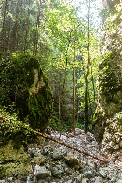 Gorge Huciaky Dans Les Montagnes Nizke Tatry Slovaquie — Photo
