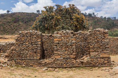Dungur (Sabâ Kraliçesi) Etiyopya 'nın Axum kentindeki saray harabeleri