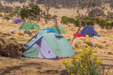 Simien dağlarında, Etiyopya 'da Chenek' te çadırlar.