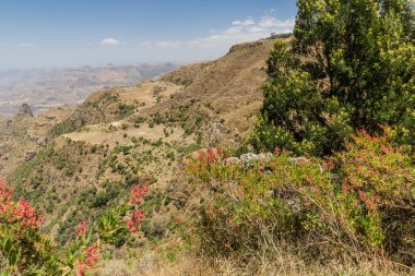 Etiyopya 'nın Kosoye köyü yakınlarındaki dağların manzarası