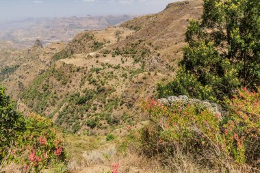 Etiyopya 'nın Kosoye köyü yakınlarındaki dağların manzarası
