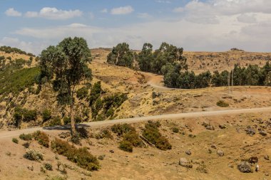 Simien dağlarındaki kırsal yol, Etiyopya