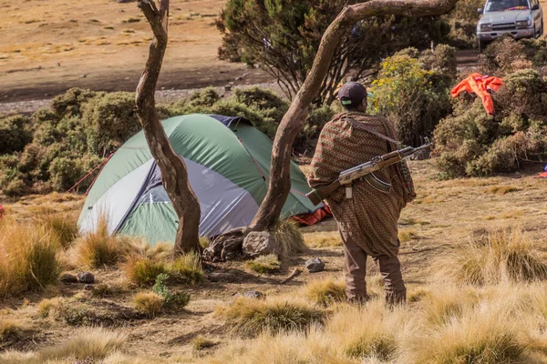 Simien Mountains Ethiopia March 2019 Armed Scout Guarding Tourists Chenek — Stock Photo, Image
