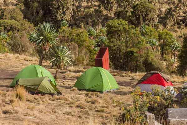 Tents Chenek Camping Simien Mountains Ethiopia — Stock Photo, Image