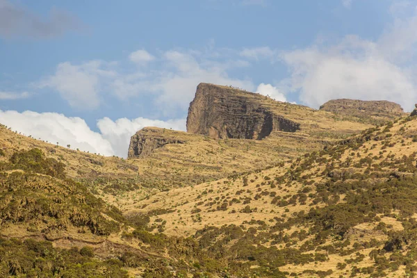 Simien Dağları Etiyopya — Stok fotoğraf