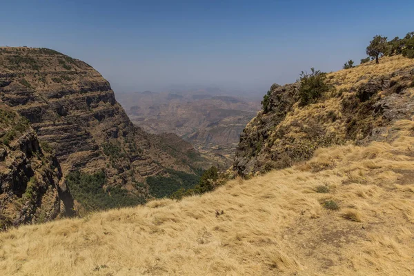 Simien Dağlarındaki Kuzey Yamaçları Etiyopya — Stok fotoğraf