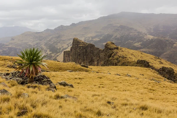 Paisaje Las Montañas Simien Etiopía — Foto de Stock