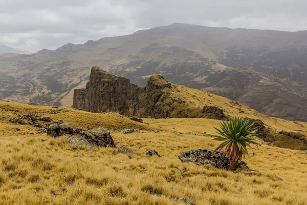 Paesaggio Delle Montagne Simien Etiopia — Foto Stock