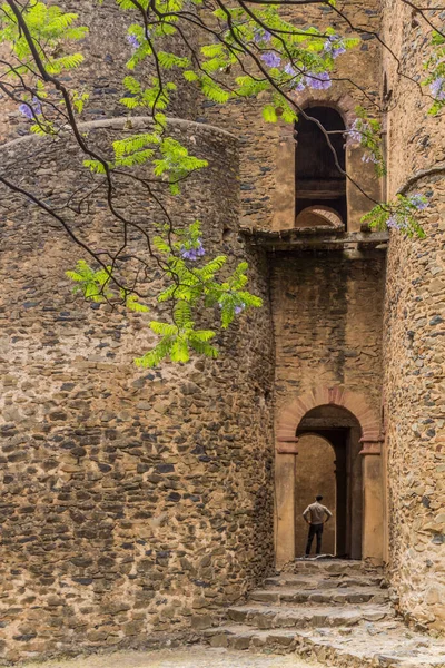 Detalle Del Palacio Fasilidas Recinto Real Gondar Etiopía — Foto de Stock