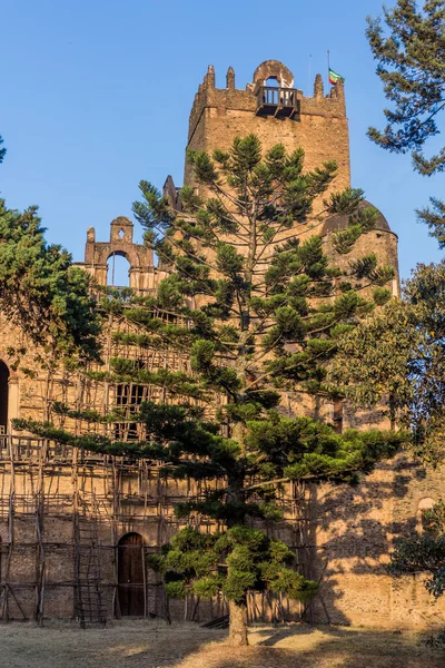 Pałac Fasilidas Pałacu Królewskim Gondar Etiopia — Zdjęcie stockowe