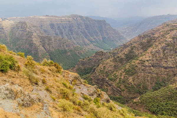 Simien Dağlarındaki Derin Kanyon Etiyopya — Stok fotoğraf