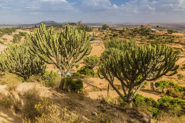 Paisaje Rural Cerca Axum Etiopía — Foto de Stock