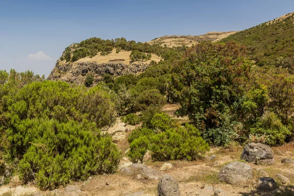埃塞俄比亚西米安山区景观 — 图库照片
