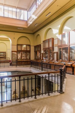 CAIRO, EGYPT - 27 HAZİRAN 2019: Mısır 'ın Kahire kentindeki Mısır Müzesinde Sergiler