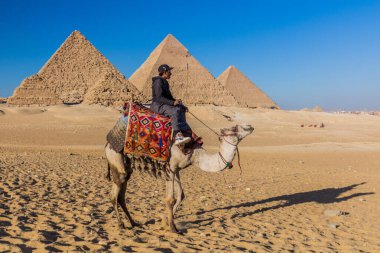 CAIRO, EGYPT - 28 HAZİRAN 2019: Büyük Giza Piramitleri önünde deve binicisi