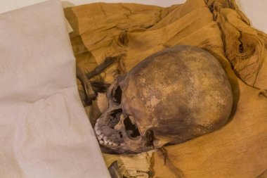 CAIRO, EGYPT - 27 HAZİRAN 2019: Mısır 'ın Kahire kentindeki Mısır Müzesinde Firavun Akhenaten