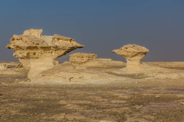 Beyaz Çölün Kaya oluşumları, Mısır