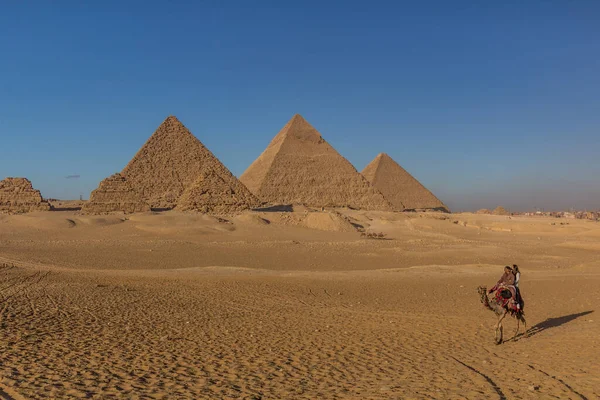 Cairo Egipto Enero 2019 Jinetes Camellos Frente Las Grandes Pirámides —  Fotos de Stock