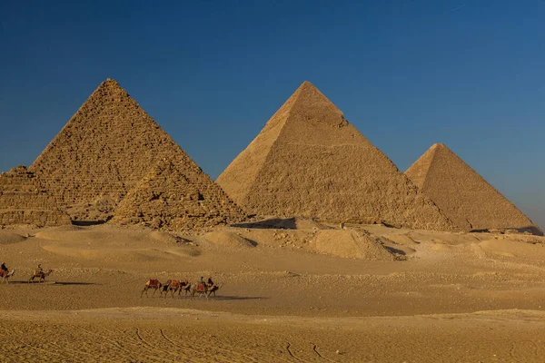 Cairo Egito Janeiro 2019 Cavaleiros Camelo Frente Grandes Pirâmides Gizé — Fotografia de Stock