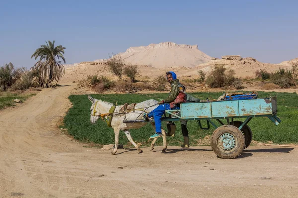 Dakhla Egypt Luty 2019 Wózek Osła Oazie Dakhla Egipt — Zdjęcie stockowe