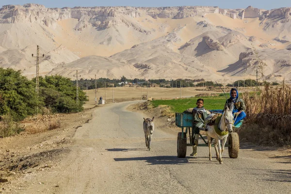 Dakhla Egypte Février 2019 Chariot Âne Dans Oasis Dakhla Égypte — Photo