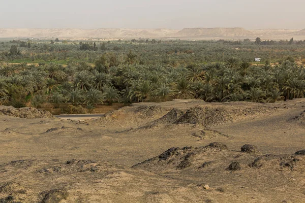 Zicht Bahariya Oase Egypte — Stockfoto