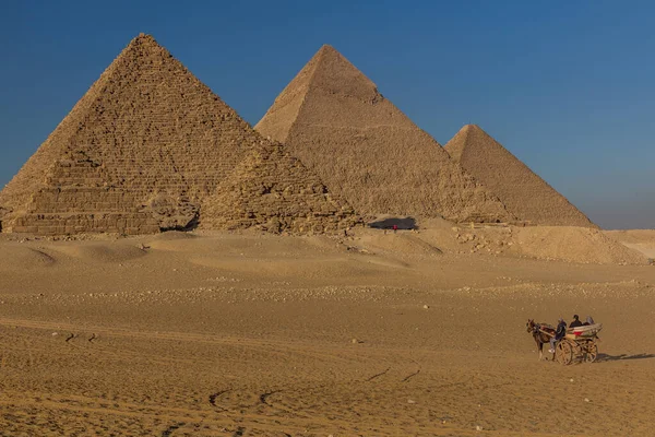 埃及开罗 2019年1月28日 在埃及吉萨大金字塔前的马车 — 图库照片