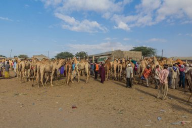 HARGEISA, SOMALILAND - 15 Nisan 2019: Somaliland 'ın başkenti Hargeisa' daki deve pazarının manzarası