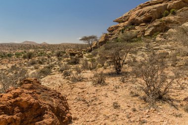 Laas Geel kaya resimleri, Somaliland çevresindeki manzara