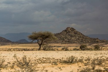 Somaliland manzarası