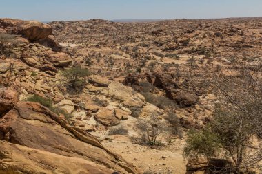 Laas Geel kaya resimleri, Somaliland çevresindeki manzara