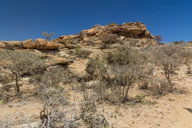 Laas Geel kaya resimleri, Somaliland çevresindeki manzara