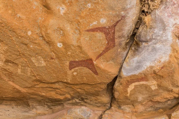 Pohled Skalní Malby Laas Geel Somaliland — Stock fotografie