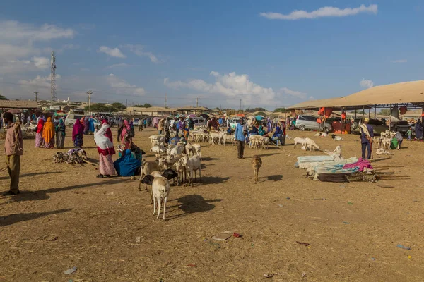 Hargeisa Somaliland Kwiecień 2019 Widok Rynek Kóz Hargeisa Stolicy Somalii — Zdjęcie stockowe