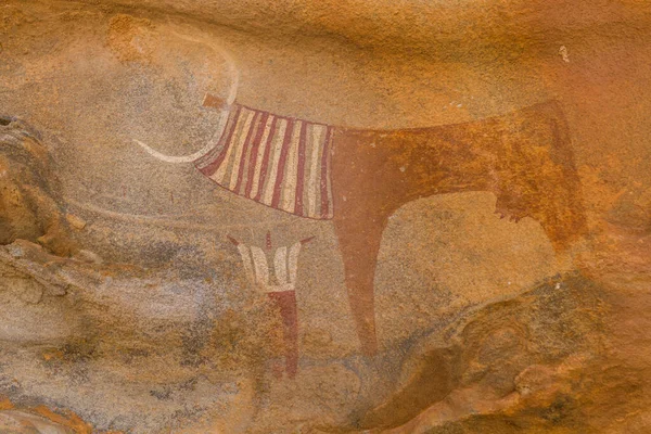 Detalhe Das Pinturas Rupestres Laas Geel Somalilândia — Fotografia de Stock