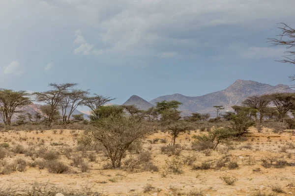 Vista Paisaje Somalilandia — Foto de Stock