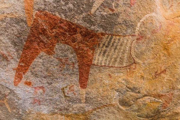 Laas Geel Rock Paintings Somaliland — Stock Photo, Image