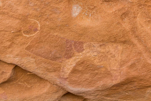 Detail Laas Geel Rock Painting Somaliland — стокове фото
